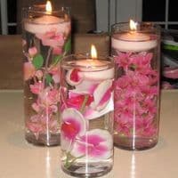 TikTok Account - b0ul3vard