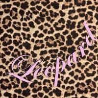 TikTok Account - leopard.kk