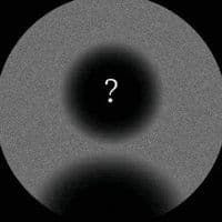 TikTok Account - xdeseo.x