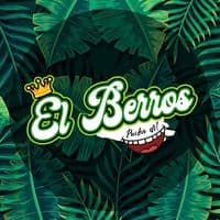 TikTok Account - elberros