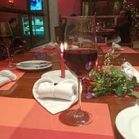 TikTok Account - adventure.with.koko