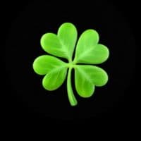 TikTok Account - compita_peter_502