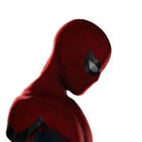 TikTok Account - thegraybubble