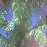 TikTok Account - fredraise