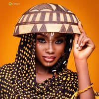 TikTok Account - sak.beauty