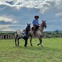 TikTok Account - marcosortiz821