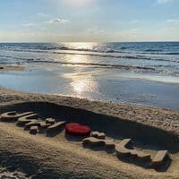 TikTok Account - osamamikawi2008