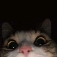 TikTok Account - markslowup