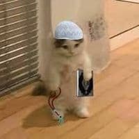 TikTok Account - billy_d23