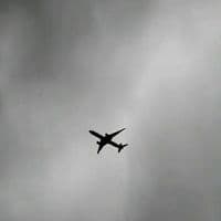 TikTok Account - tolepov91