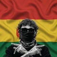 TikTok Account - beelefansbolivia