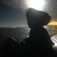 TikTok Account - beyondvelocity