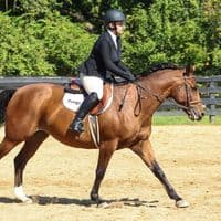 TikTok Account - grace_equestrain