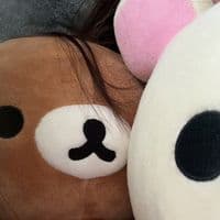 TikTok Account - unsentoyou