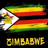 TikTok Account - zimjokes