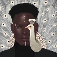 TikTok Account - tallblacktiktok2