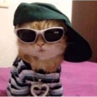 TikTok Account - spedup.audios____