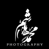 TikTok Account - user4487446066815