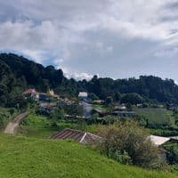 TikTok Account - posonicapa