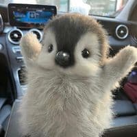 TikTok Account - jesusisawesome_737