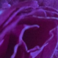 TikTok Account - jeeflinecomplexe77707