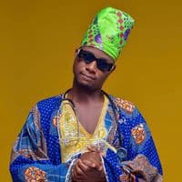 TikTok Account - digoo74