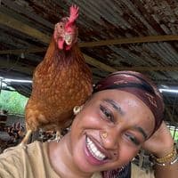 TikTok Account - oumousy079