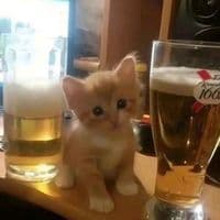 TikTok Account - younghillson