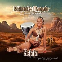 TikTok Account - deewajesumangate