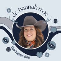 TikTok Account - dr.hannahmae