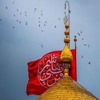 TikTok Account - ishaqehussain