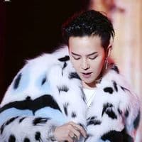 TikTok Account - carolalves3479