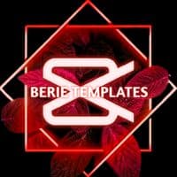 TikTok Account - berietemplates