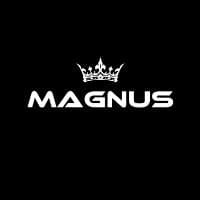 TikTok Account - clips_magnus