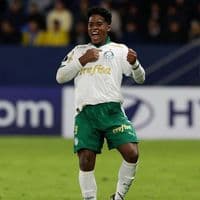 TikTok Account - sepsverse