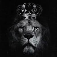 TikTok Account - videointeresantee1