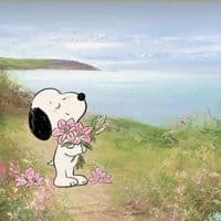 TikTok Account - aidenwatson13