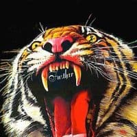 TikTok Account - fw.thxr