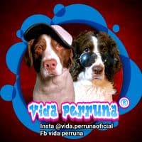 TikTok Account - vida.perruna