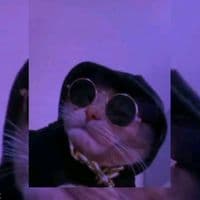 TikTok Account - songss86