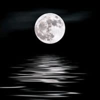 TikTok Account - mo__on__light