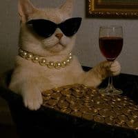 TikTok Account - yourmommy_208