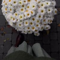 TikTok Account - nefeslianlar