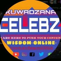 TikTok Account - kuwadzana_celebs