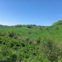 TikTok Account - olov099