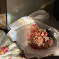 TikTok Account - yomnaaltaype