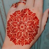 TikTok Account - aamir656316