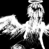 TikTok Account - illumntdlyrx