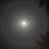 TikTok Account - williammendez221