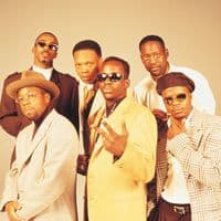 TikTok Account - newedition.4l